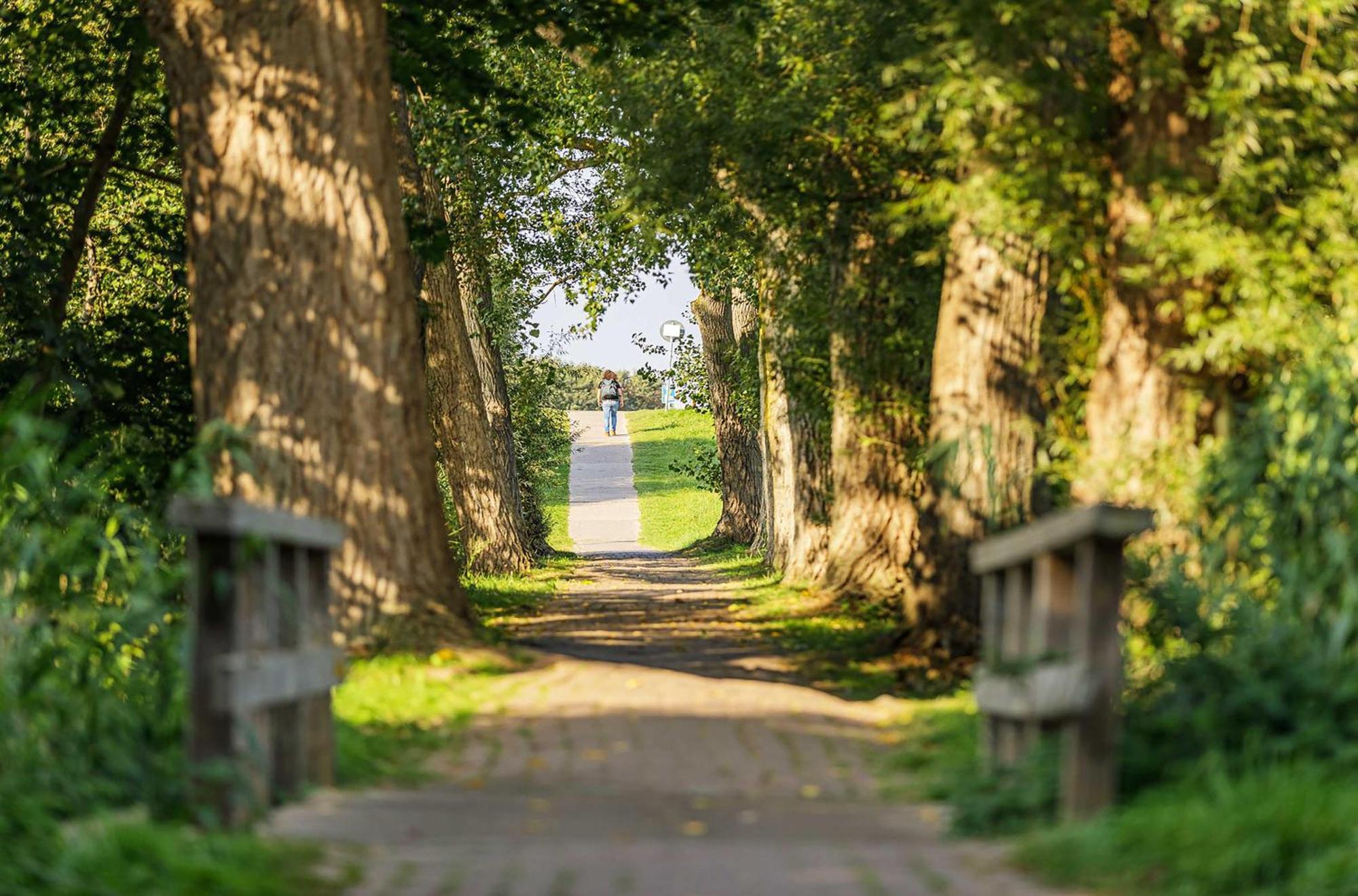 Achterndieck In Der Alten Seefahrtschule Wustrow  Luaran gambar